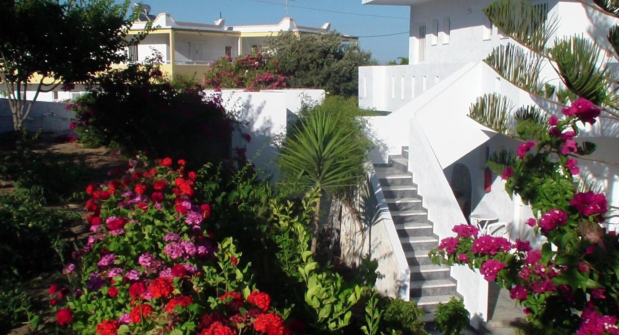 Creta Vassakis Studios Kefalos  Exterior photo