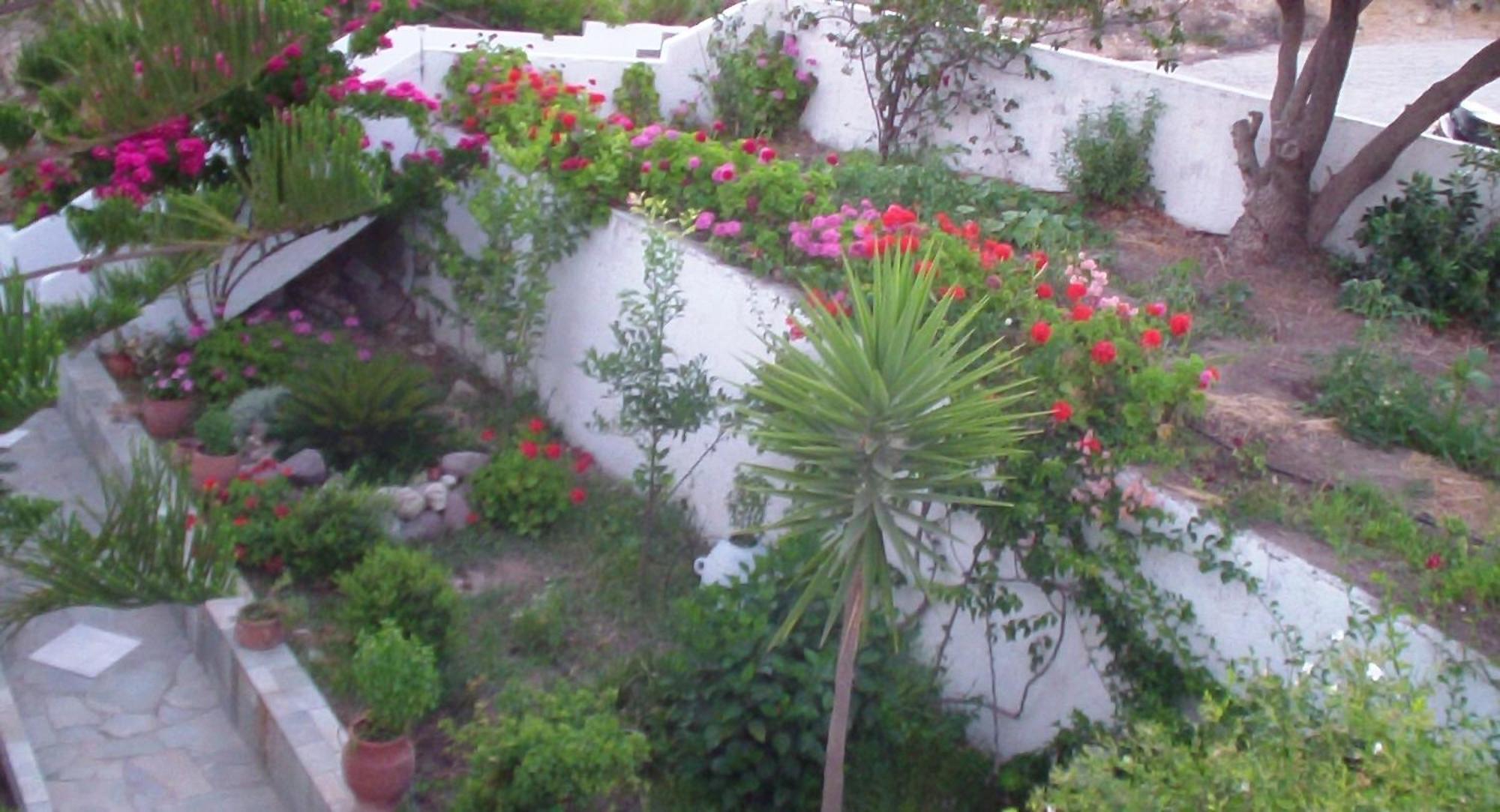 Creta Vassakis Studios Kefalos  Exterior photo