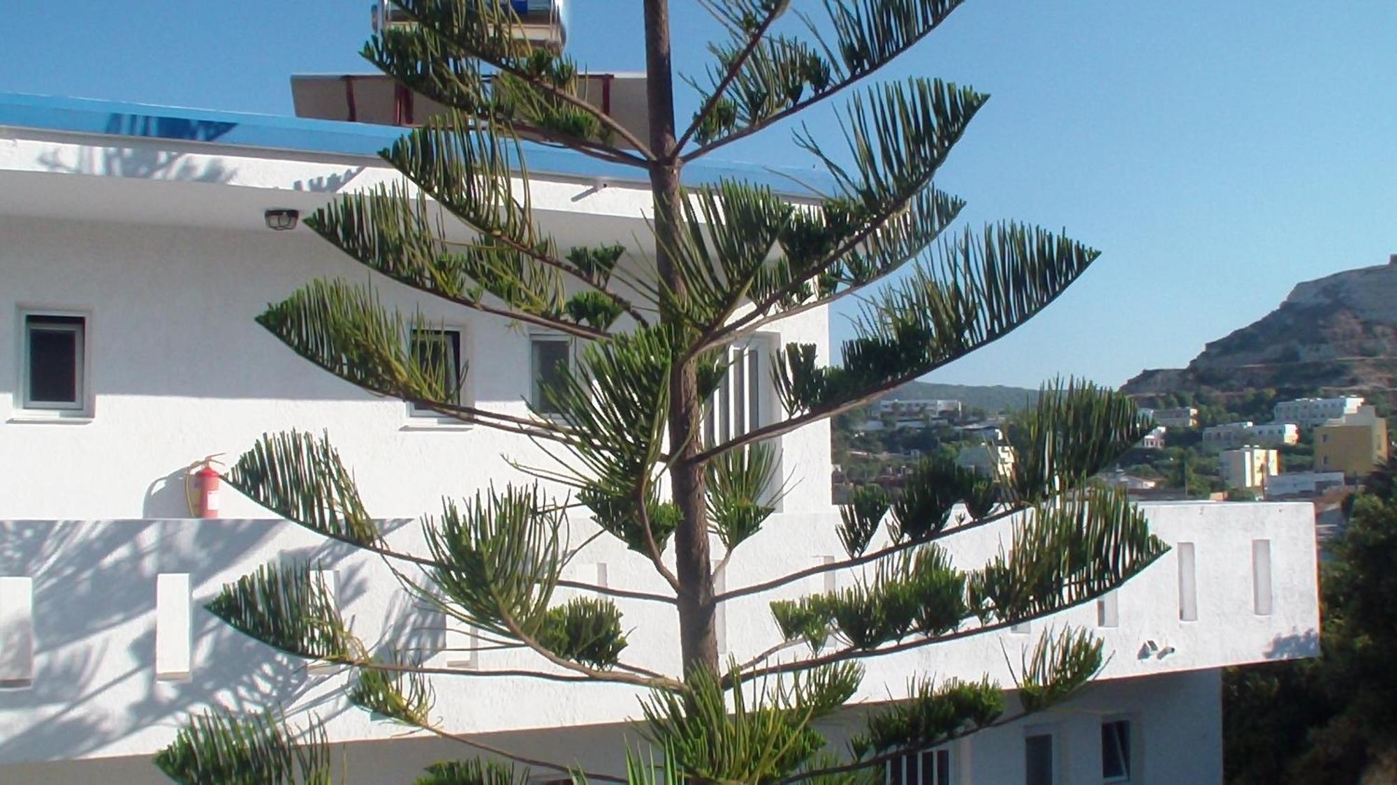 Creta Vassakis Studios Kefalos  Exterior photo
