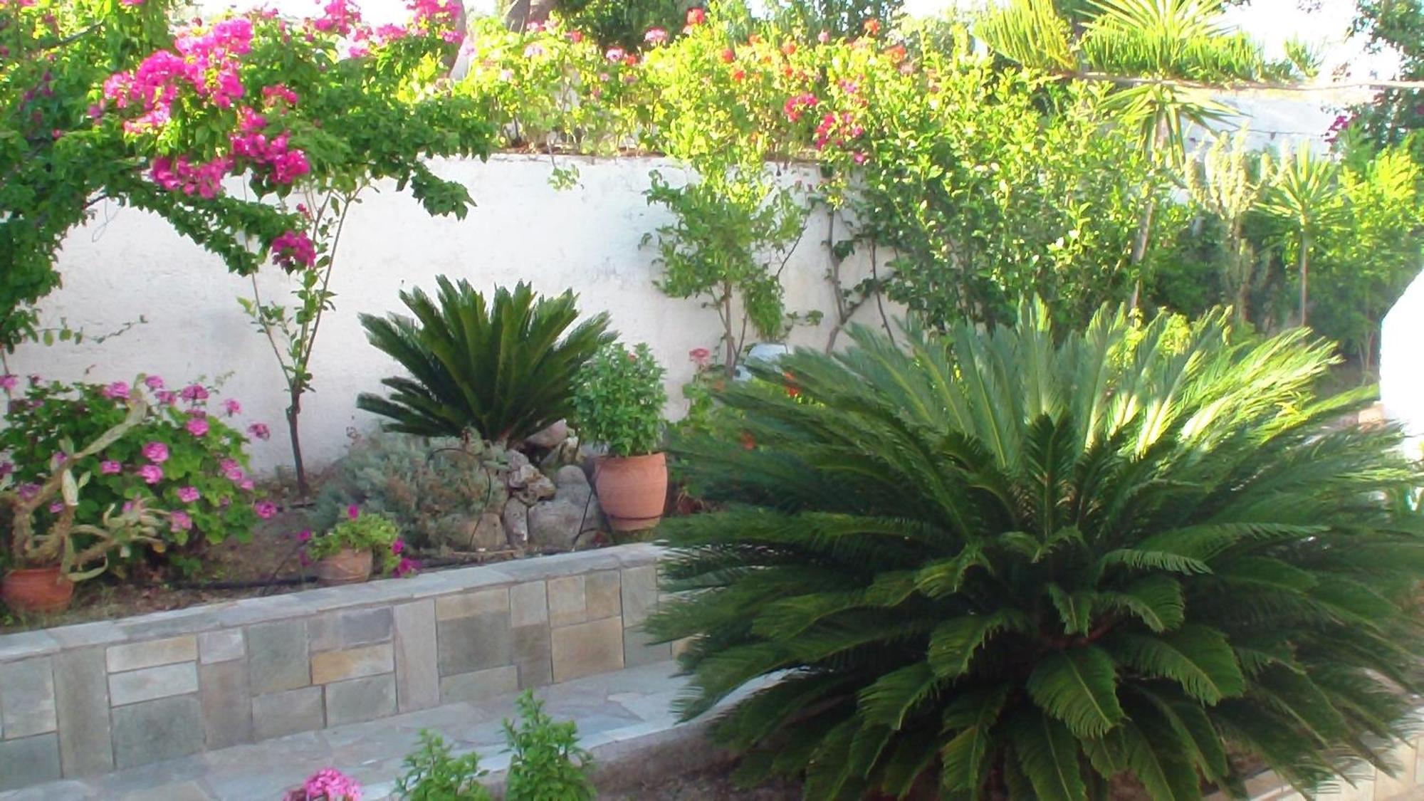 Creta Vassakis Studios Kefalos  Exterior photo