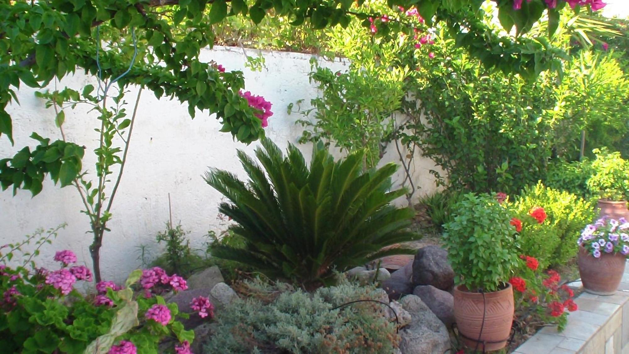 Creta Vassakis Studios Kefalos  Exterior photo